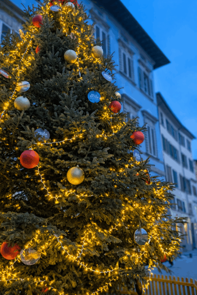 Albero Fondazioen Pisa
